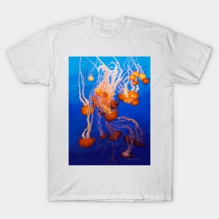 Jellyfish T-Shirt